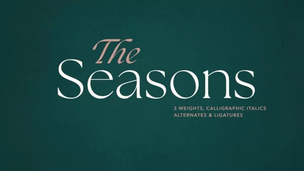 Font việt Hóa Font The Seasons